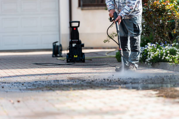 Reliable Silver Grove, KY  Pressure Washing Solutions